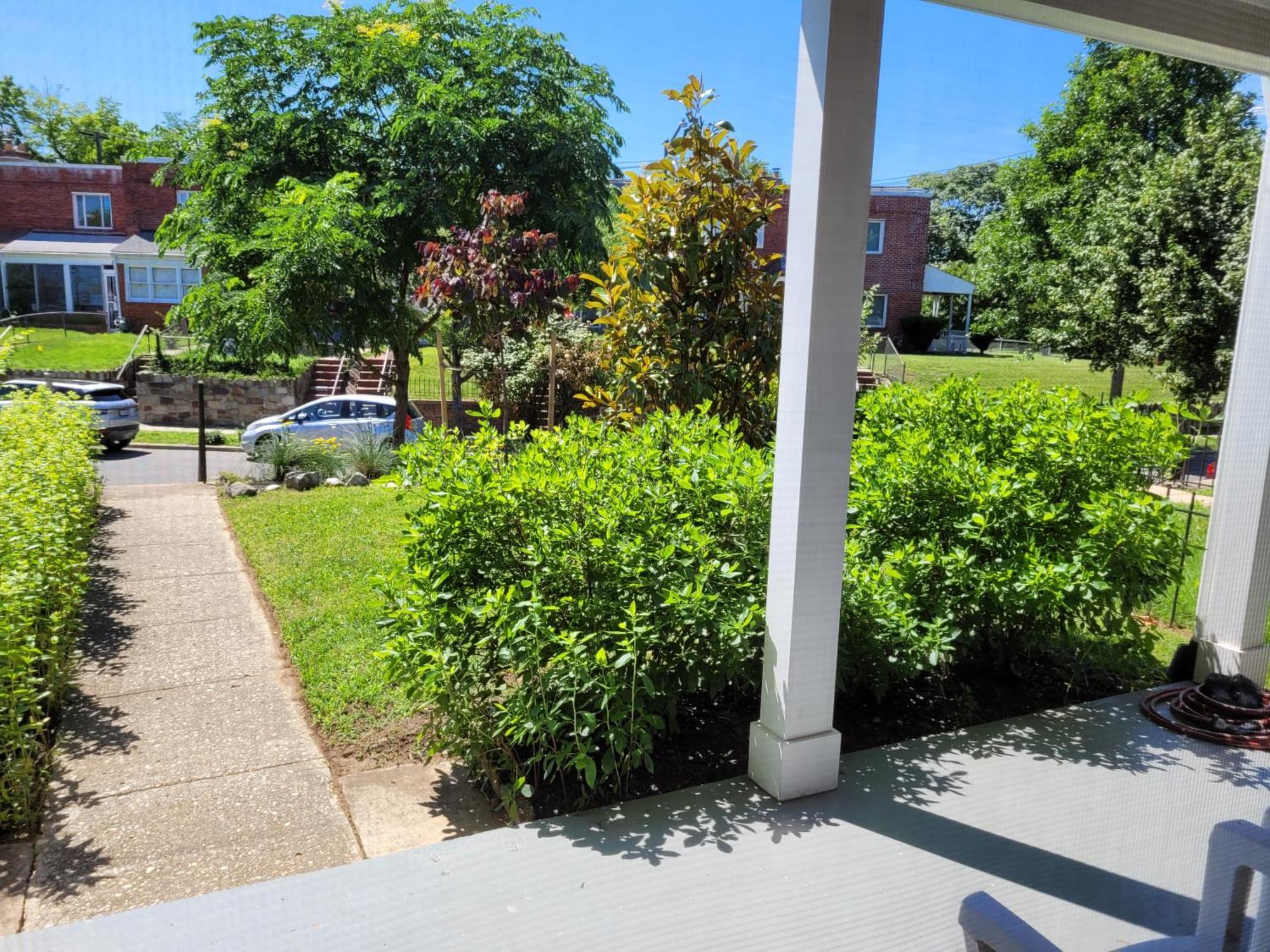 Capitol Hill Adj Home With Parking And Easy Access To Downtown Вашингтон Экстерьер фото